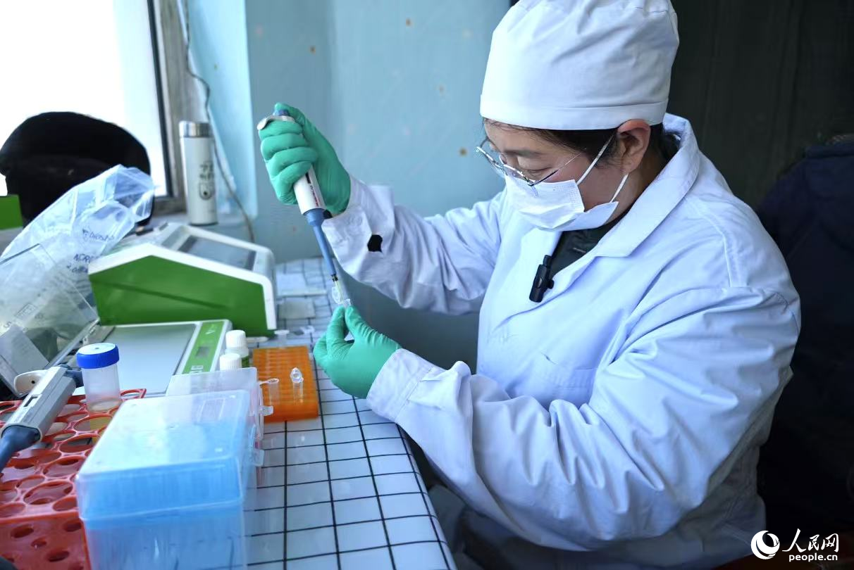 吴孜正在检验粮食样品。人民网 刘汕摄